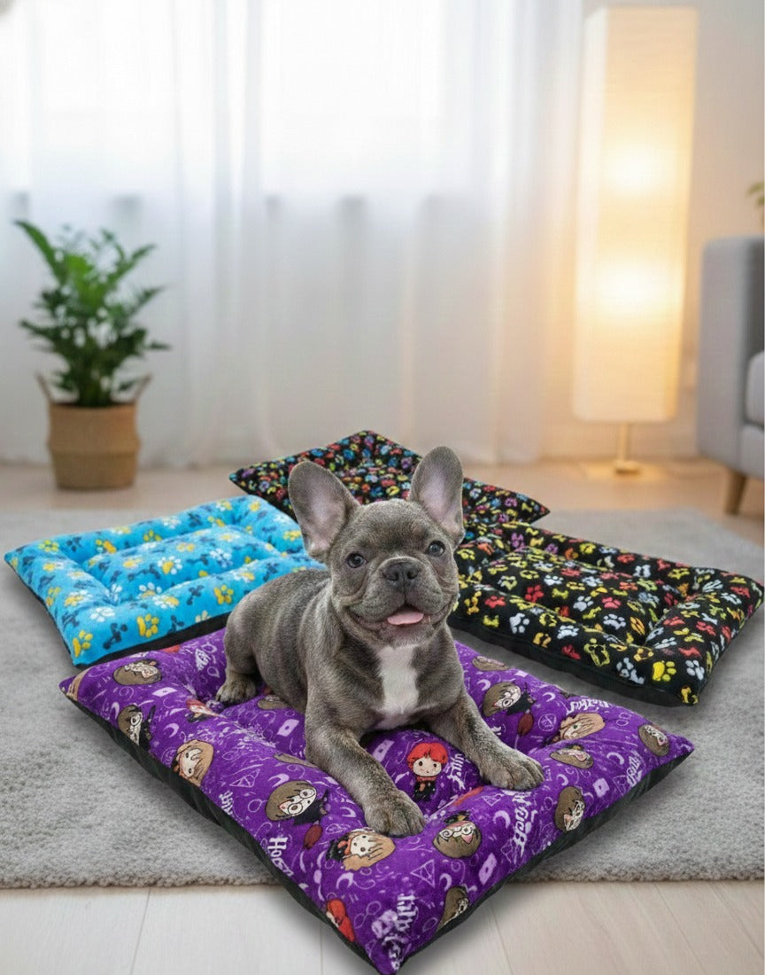 PAQUETE BASICO DE CAMAS PARA PERRO