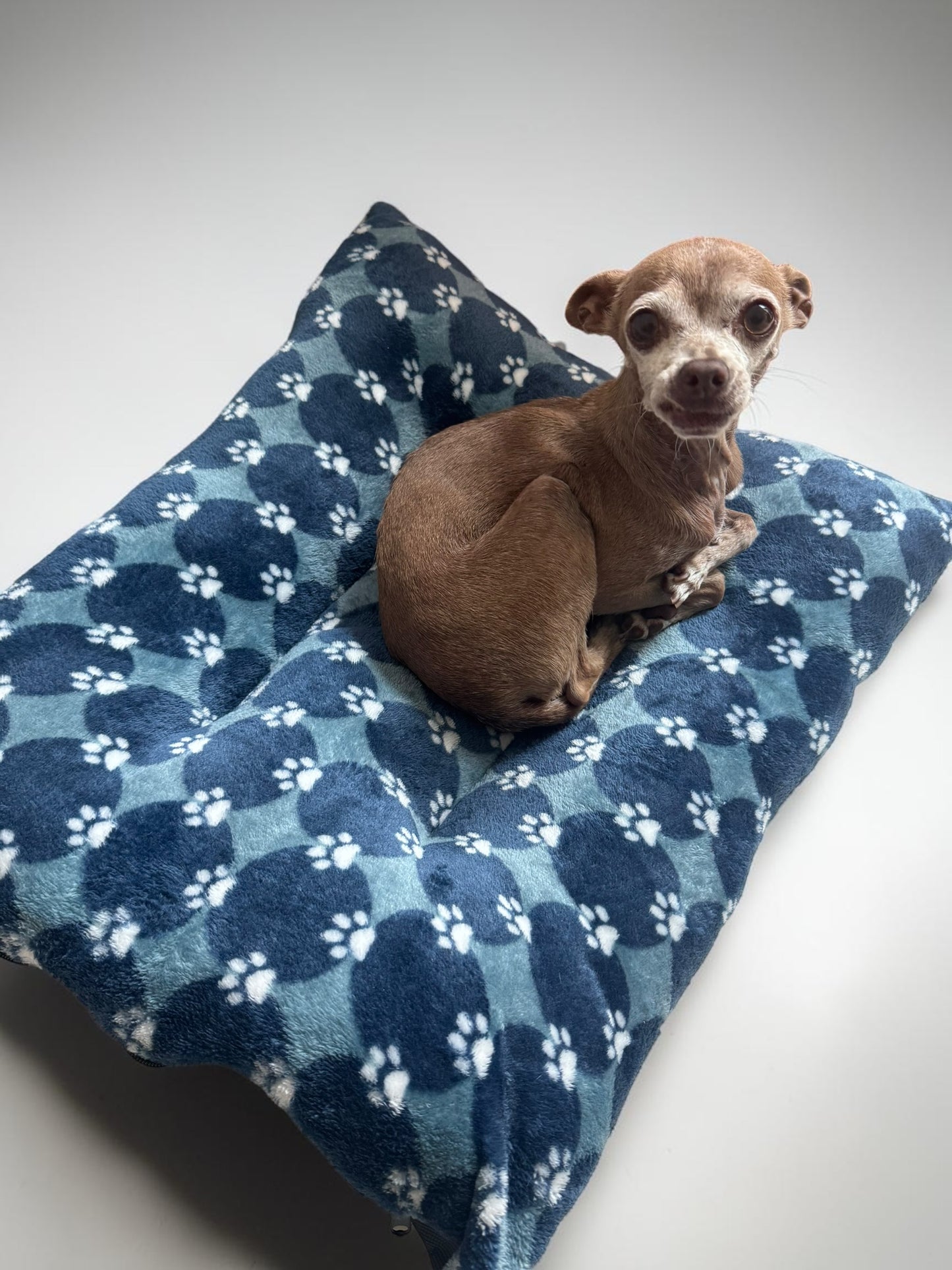 PAQUETE BASICO DE CAMAS PARA PERRO