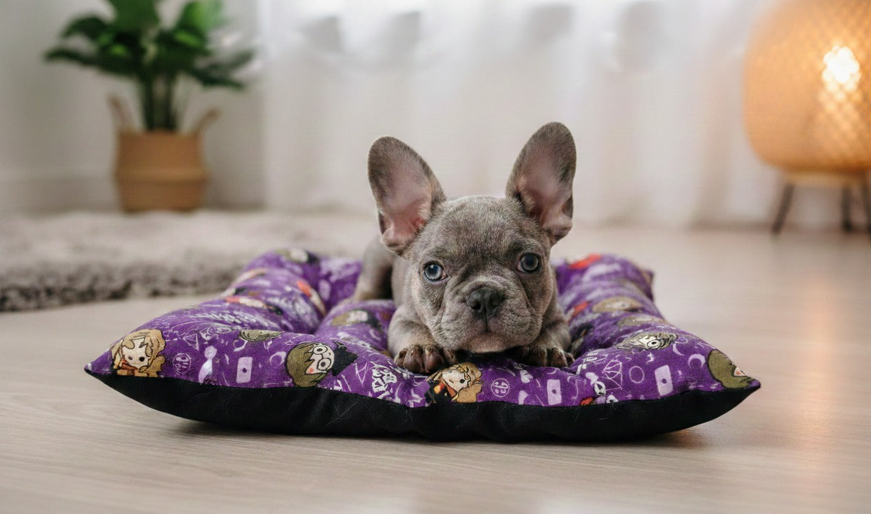 PAQUETE BASICO DE CAMAS PARA PERRO