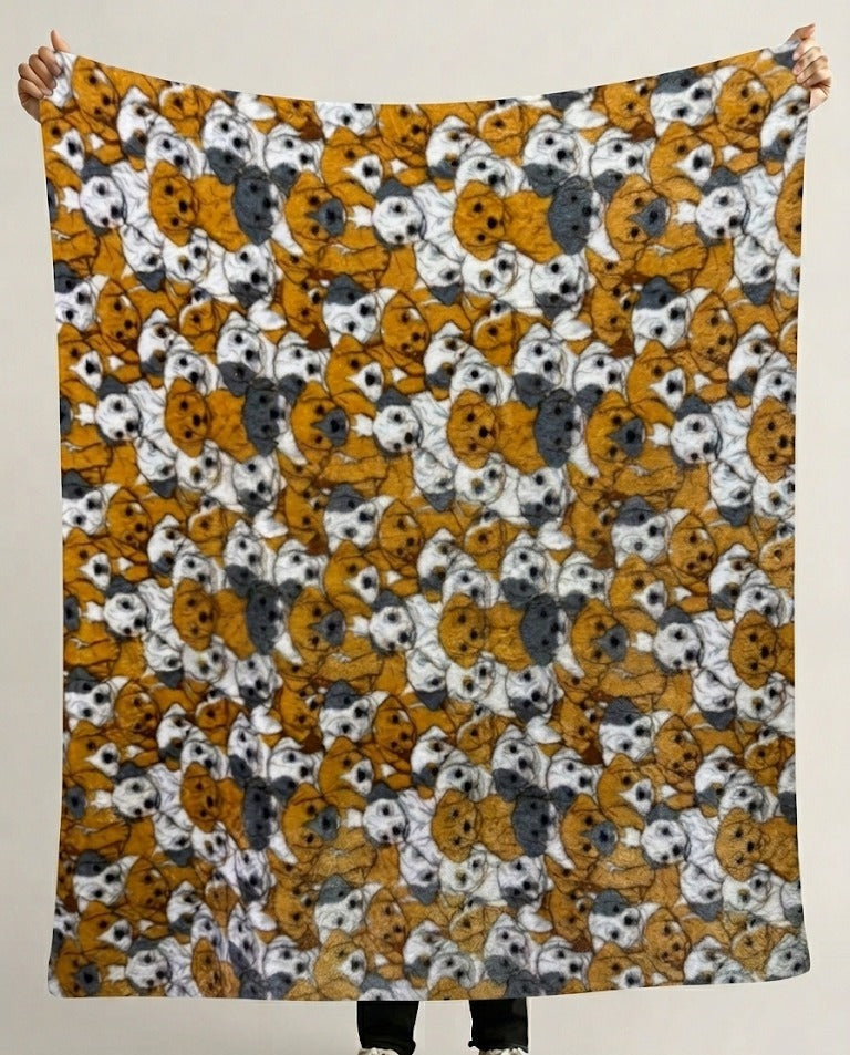 PAQ. 10 FRAZADAS MULTIUSOS